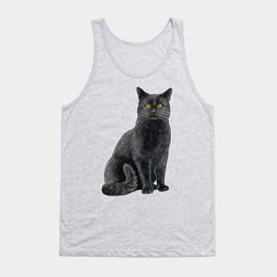 Black cat with golden eyes Tank Top